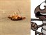 Multimedia - Μια κατσαρίδα βλέπει μία άλλη ανάσκελα... Το καμένο ανέκδοτο της ημέρας (10/06)