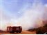 Multimedia - Φωτιά στα Τρίκαλα: Σε ύφεση η πυρκαγιά στο Ορθοβούνι