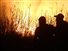 Multimedia - Φωτιές στη Ρωσία: Σε κατάσταση έκτακτης ανάγκης δύο περιοχές της Σιβηρίας